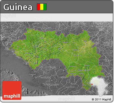 Satellite 3D Map of Guinea, desaturated