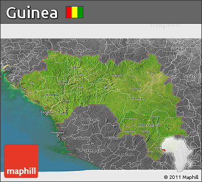Satellite 3D Map of Guinea, desaturated, land only
