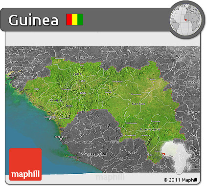 Satellite 3D Map of Guinea, desaturated, land only