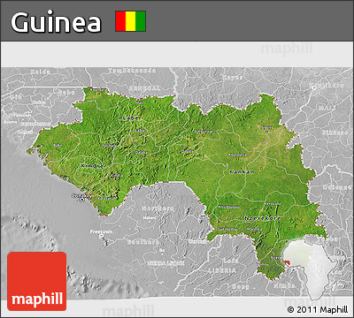 Satellite 3D Map of Guinea, lighten, desaturated