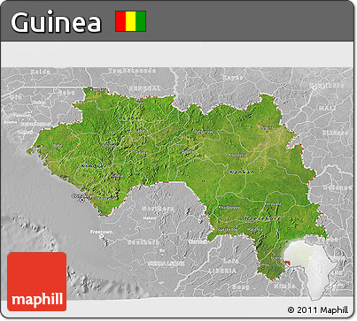 Satellite 3D Map of Guinea, lighten, desaturated