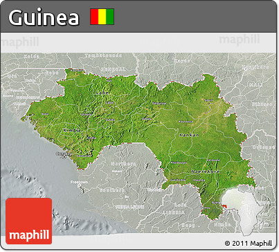 Satellite 3D Map of Guinea, lighten, semi-desaturated