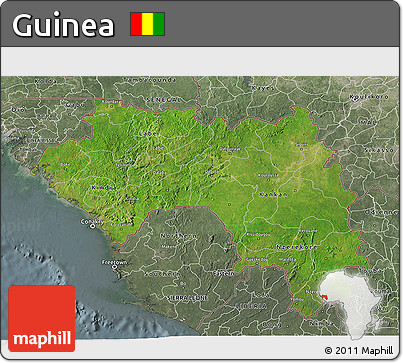 Satellite 3D Map of Guinea, semi-desaturated