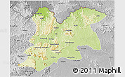 Physical 3D Map of Dinguiraye, desaturated