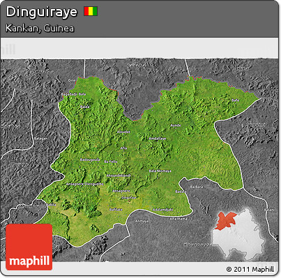 Satellite 3D Map of Dinguiraye, desaturated
