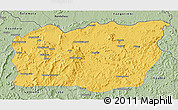 Savanna Style 3D Map of Mali