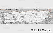 Gray Panoramic Map of Mali