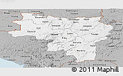 Gray Panoramic Map of Labe