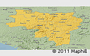 Savanna Style Panoramic Map of Labe