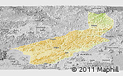 Physical Panoramic Map of Touge, desaturated
