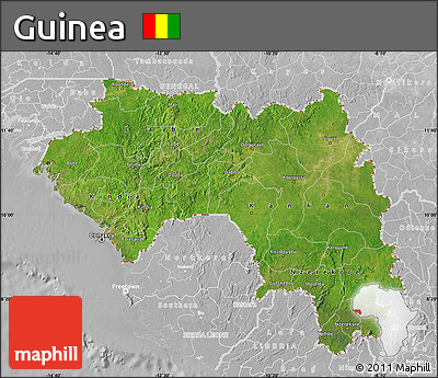 Satellite Map of Guinea, lighten, desaturated