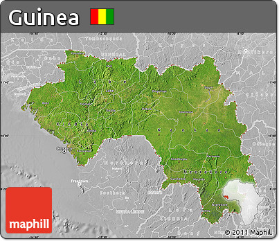 Satellite Map of Guinea, lighten, desaturated