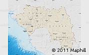 Shaded Relief Map of Guinea, lighten, desaturated, land only