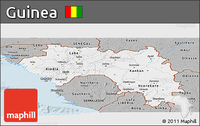 Gray Panoramic Map of Guinea