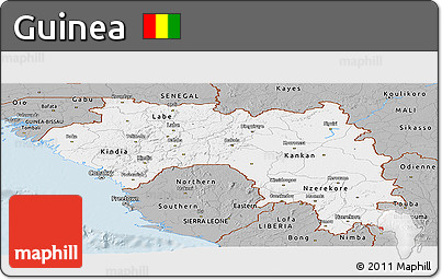 Gray Panoramic Map of Guinea
