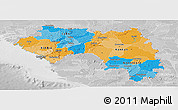 Political Panoramic Map of Guinea, lighten, desaturated