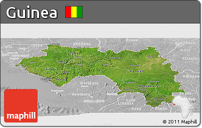 Satellite Panoramic Map of Guinea, lighten, desaturated