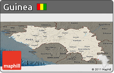 Shaded Relief Panoramic Map of Guinea, darken