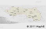 Shaded Relief Panoramic Map of Guinea, lighten, desaturated