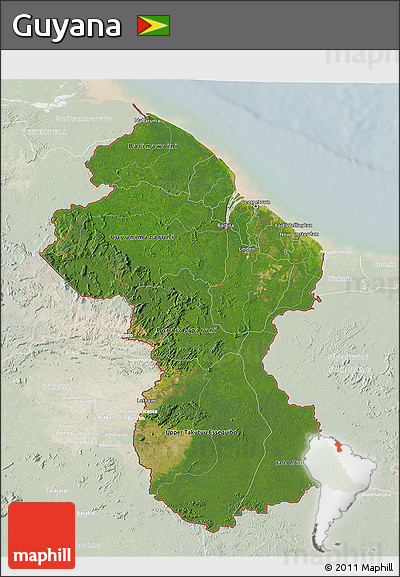 Satellite 3D Map of Guyana, lighten