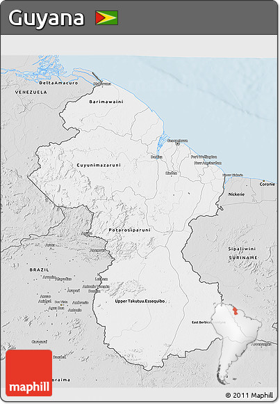Silver Style 3D Map of Guyana