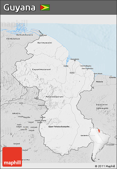 Silver Style 3D Map of Guyana