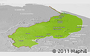 Physical Panoramic Map of I-1  Barima, lighten, desaturated