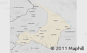 Shaded Relief 3D Map of I-2  Waini, desaturated