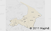 Shaded Relief 3D Map of I-2  Waini, lighten, desaturated