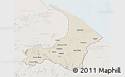 Shaded Relief 3D Map of I-2  Waini, lighten