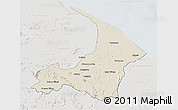 Shaded Relief 3D Map of I-2  Waini, lighten, semi-desaturated
