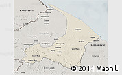 Shaded Relief 3D Map of I-2  Waini, semi-desaturated