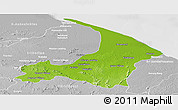Physical Panoramic Map of I-2  Waini, lighten, desaturated