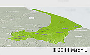Physical Panoramic Map of I-2  Waini, lighten, semi-desaturated