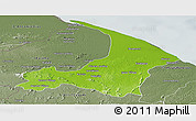 Physical Panoramic Map of I-2  Waini, semi-desaturated