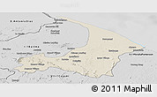Shaded Relief Panoramic Map of I-2  Waini, desaturated