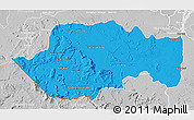 Political 3D Map of VII-2 Mazaruni/L.B.E.Rive, lighten, desaturated