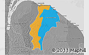 Political 3D Map of Demerara/mahaica, desaturated