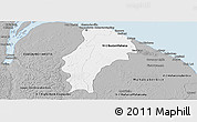 Gray Panoramic Map of Demerara/mahaica