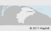 Gray Panoramic Map of Demerara/mahaica, single color outside