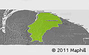 Physical Panoramic Map of Demerara/mahaica, desaturated