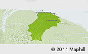 Physical Panoramic Map of Demerara/mahaica, lighten
