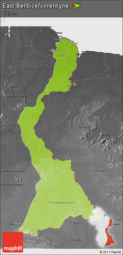 Physical 3D Map of East Berbice/corentyne, darken, desaturated