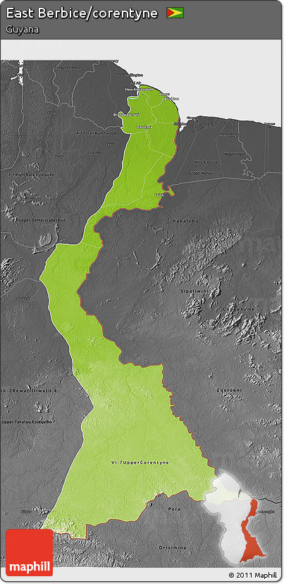 Physical 3D Map of East Berbice/corentyne, darken, desaturated