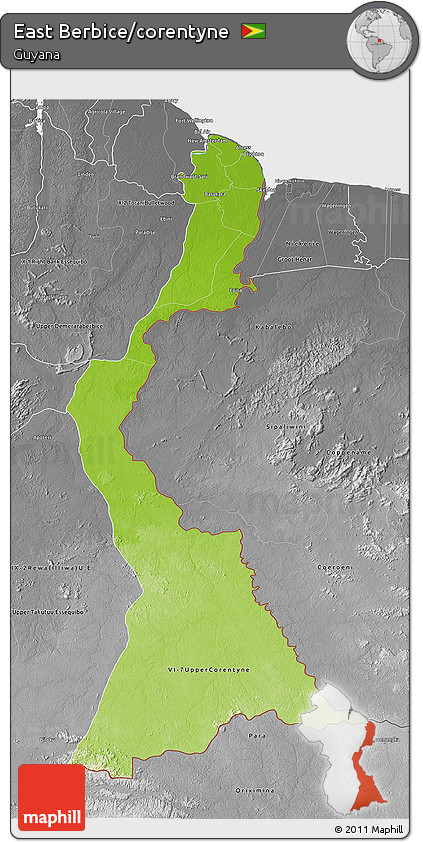 Physical 3D Map of East Berbice/corentyne, desaturated