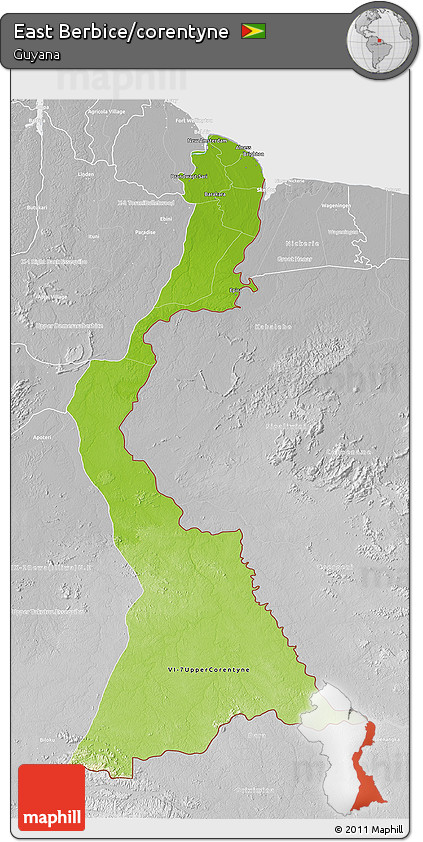 Physical 3D Map of East Berbice/corentyne, lighten, desaturated
