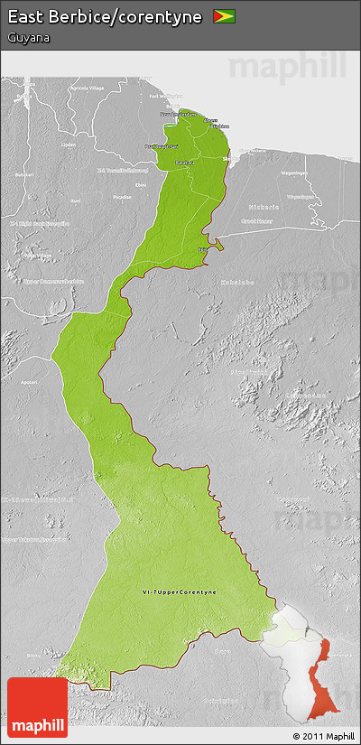 Physical 3D Map of East Berbice/corentyne, lighten, desaturated