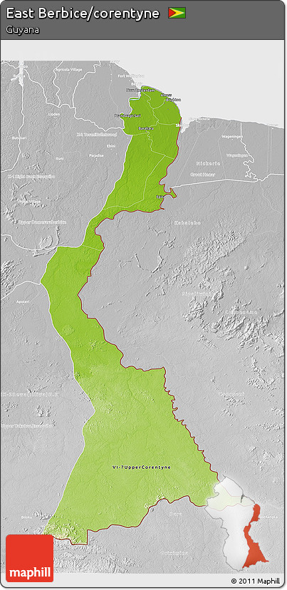 Physical 3D Map of East Berbice/corentyne, lighten, desaturated