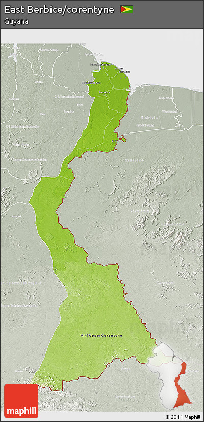 Physical 3D Map of East Berbice/corentyne, lighten, semi-desaturated