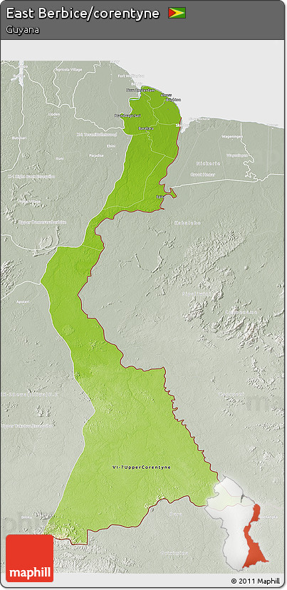 Physical 3D Map of East Berbice/corentyne, lighten, semi-desaturated